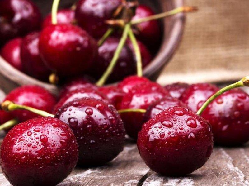 Вишня купить саженцы из питомника в Волхове
